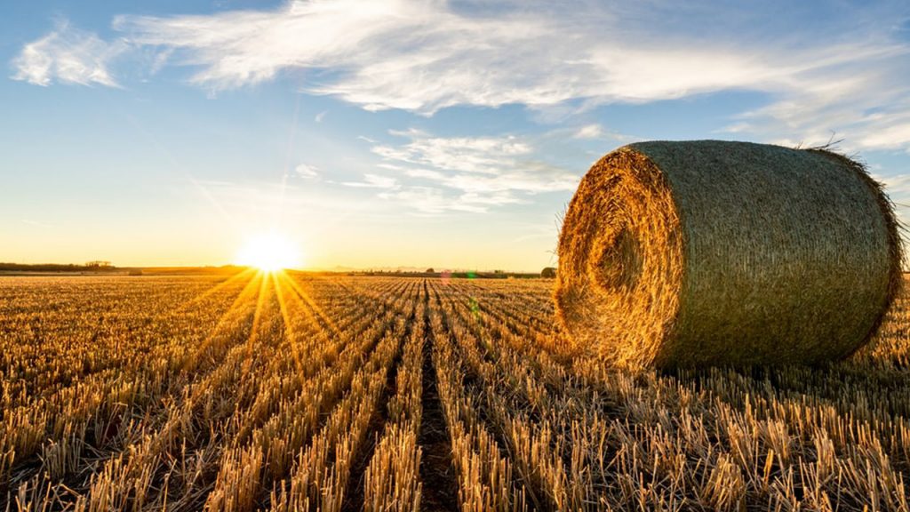 Why Are Farmers Paid To Not Grow Crops Farming Base