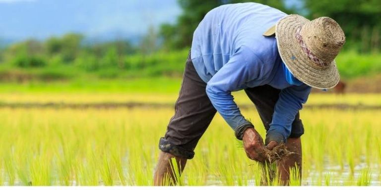 The 7 Best Hats For Farmers Reviews in 2022 | Farming Base